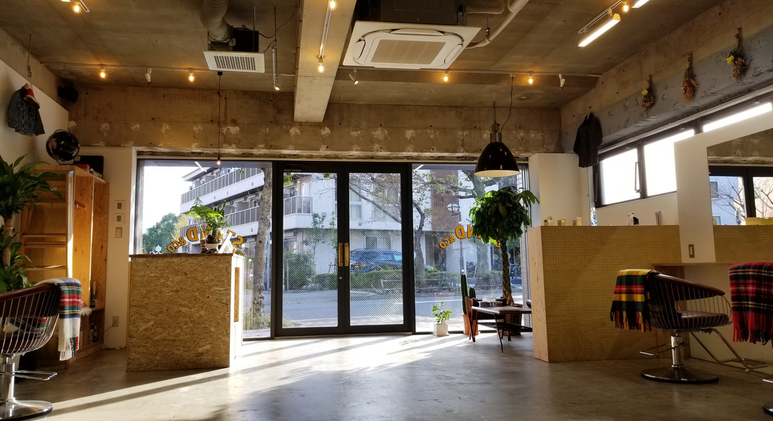 20181031_144822.jpg